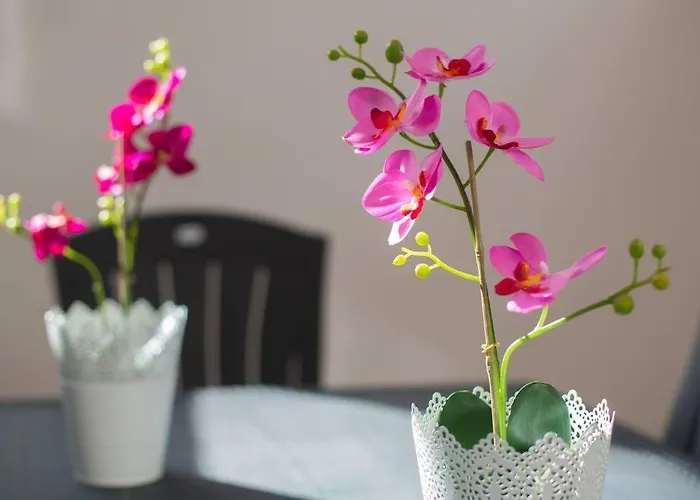 Piso Gexel Casco Historico Con Garaje * San Cristóbal de La Laguna