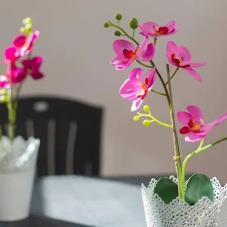 Piso Gexel Casco Historico Con Garaje * La Laguna (Tenerife)